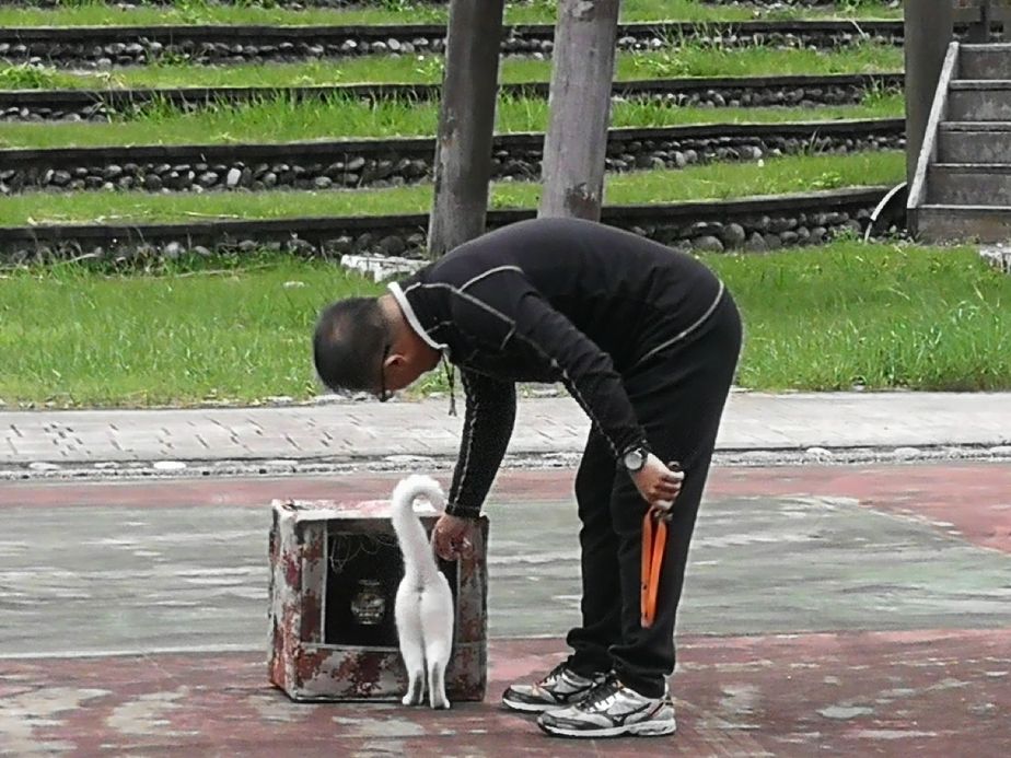 48364549_591716231261460_2742971187029082112_n