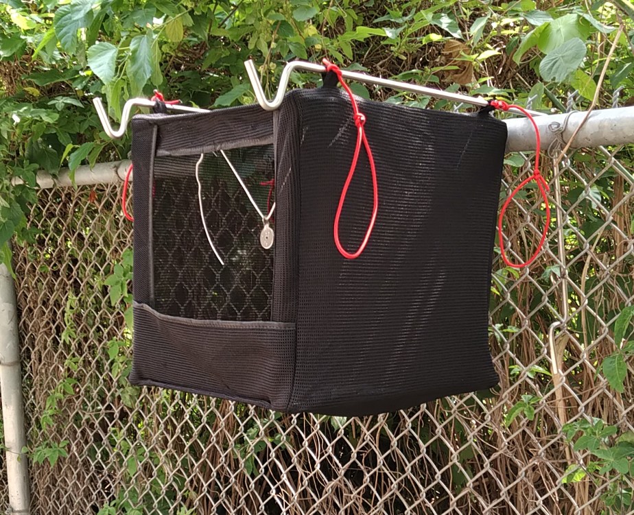 IMG_20190330_135313_cr