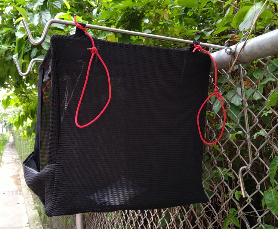 IMG_20190330_161018_cr